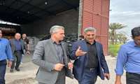 بازدید رئیس سازمان جهاد کشاورزی جنوب کرمان از انبارهای ذخیره کود و مزراع گندم حوزه شهرستان جیرفت